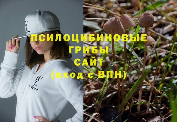 дмт Арсеньев