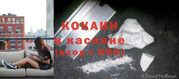крисы Армянск