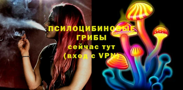 дмт Арсеньев