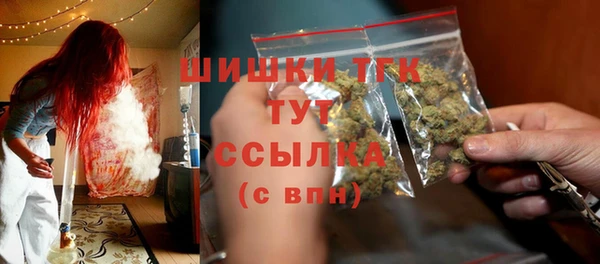 крисы Армянск