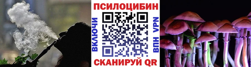 Галлюциногенные грибы Psilocybe  что такое наркотик  Нязепетровск 